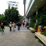 Clubul Taranului (MTR), restaurant si terasa la Muzeul Taranului Roman