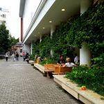 Clubul Taranului (MTR), restaurant si terasa la Muzeul Taranului Roman