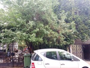 Coftale, restaurant boem pe strada Stefan Mihaileanu