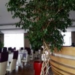 Danieli, restaurantul Hotelului Marshall Garden din Bucuresti