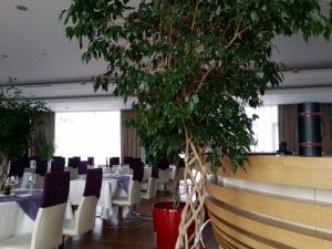 Danieli, restaurantul Hotelului Marshall Garden din Bucuresti