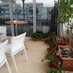 Danieli, restaurantul Hotelului Marshall Garden din Bucuresti