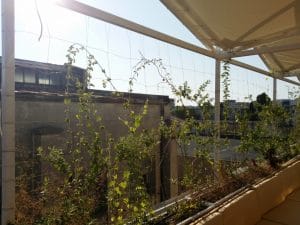 Deschis Gastrobar, club si terasa pe acoperisul Fabricii de Bumbac in Splaiul Unirii