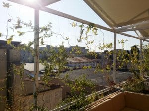 Deschis Gastrobar, club si terasa pe acoperisul Fabricii de Bumbac in Splaiul Unirii