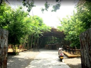 Gradina Dorobanti Bucuresti