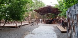 Gradina Dorobanti, terasa cafenea si bar in Calea Dorobantilor din Bucuresti