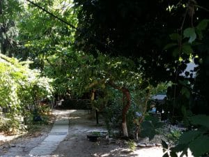 Gradina Sticlarilor, boema artistica in Vasile Lascar, Bucuresti