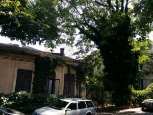 Gradina Sticlarilor, boema artistica in Vasile Lascar, Bucuresti