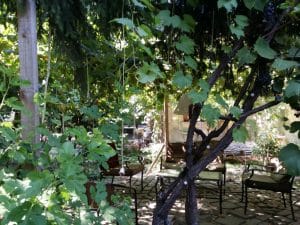 Gradina Sticlarilor, boema artistica in Vasile Lascar, Bucuresti