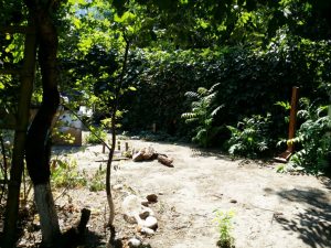 Gradina Sticlarilor, boema artistica in Vasile Lascar, Bucuresti