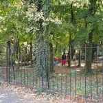 In jurul parcului Gradina Icoanei, cu Gargantua, El Pato, Home, Il Villagio