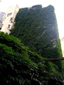 Lente (Arcului) sau Mansarda Lente, local boem in cartierul Armenesc din Bucuresti