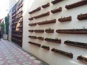 Lente Dionisie Lupu (Piata Lahovari), cafenea boema cu street food