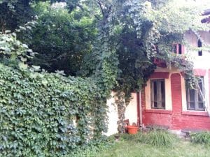 Lente Dionisie Lupu (Piata Lahovari), cafenea boema cu street food