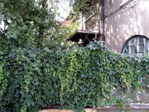 Strada General Praporgescu