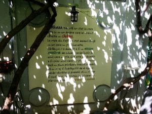 Lente, local boem in strada General Praporgescu