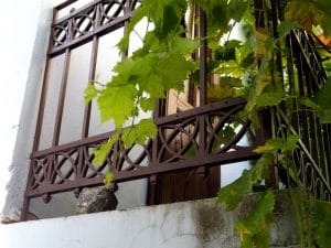 Lente, local boem in strada General Praporgescu