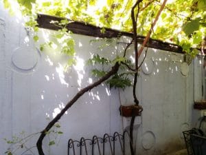 Lente, local boem in strada General Praporgescu