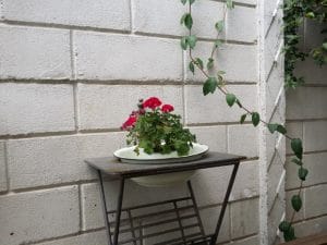 Maccheroni, bistrou italian la Piata Floreasca