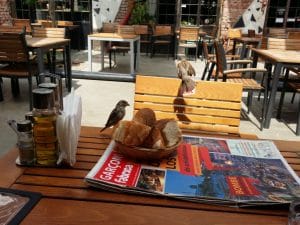 Masa la comun la Fabrica Club