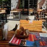 Masa la comun la Fabrica Club