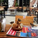 Masa la comun la Fabrica Club