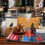 Masa la comun la Fabrica Club