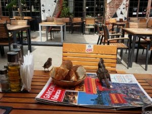 Masa la comun la Fabrica Club