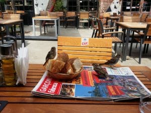 Masa la comun la Fabrica Club