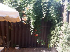 Naan Project, fost Wellness Cuisine, restaurant pe Progresului la Razoare