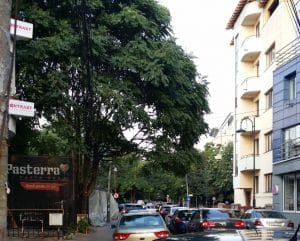 Pasterra & La Bottega del Tartufo, pasta bar si bacanie in Piata Floreasca