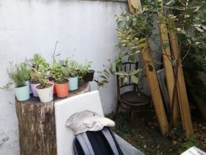 Pasterra & La Bottega del Tartufo, pasta bar si bacanie in Piata Floreasca