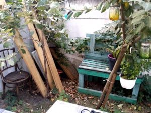 Pasterra & La Bottega del Tartufo, pasta bar si bacanie in Piata Floreasca