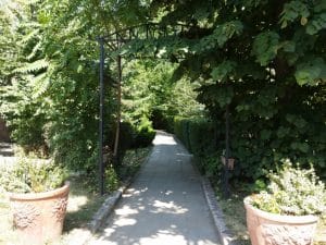 Patru Anotimpuri, restaurant romanesc in Parcul Herastrau