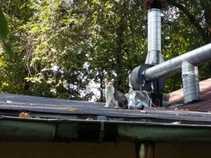 Patru Anotimpuri, restaurant romanesc in Parcul Herastrau