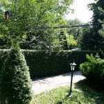Patru Anotimpuri, restaurant romanesc in Parcul Herastrau
