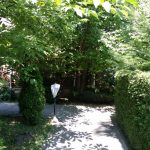 Patru Anotimpuri, restaurant romanesc in Parcul Herastrau