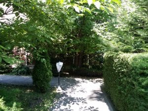 Patru Anotimpuri, restaurant romanesc in Parcul Herastrau