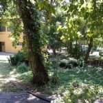 Patru Anotimpuri, restaurant romanesc in Parcul Herastrau