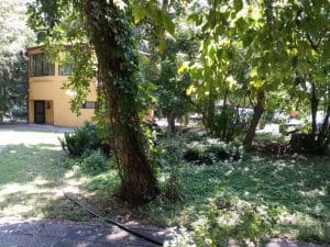 Patru Anotimpuri, restaurant romanesc in Parcul Herastrau