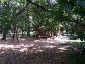 Patru Anotimpuri, restaurant romanesc in Parcul Herastrau