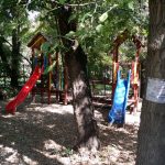 Patru Anotimpuri, restaurant romanesc in Parcul Herastrau