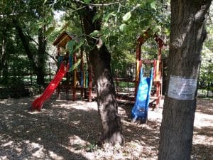 Patru Anotimpuri, restaurant romanesc in Parcul Herastrau