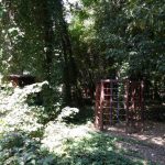 Patru Anotimpuri, restaurant romanesc in Parcul Herastrau