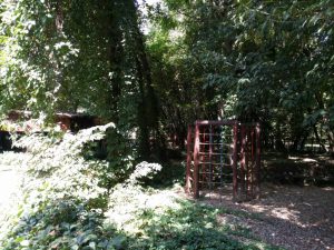 Patru Anotimpuri, restaurant romanesc in Parcul Herastrau