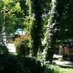 Patru Anotimpuri, restaurant romanesc in Parcul Herastrau