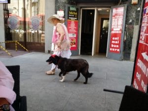 Pescarul, restaurant romanesc pescaresc in Piata Universitatii