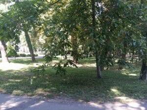 Rastaurantul Palatului Stirbey, pe Domeniul Stirbey de la Buftea