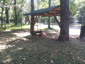 Rastaurantul Palatului Stirbey, pe Domeniul Stirbey de la Buftea