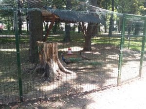 Rastaurantul Palatului Stirbey, pe Domeniul Stirbey de la Buftea